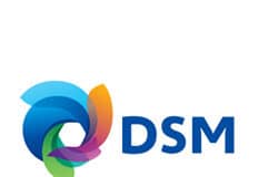 DSM blijft in Limburg, maar ziet af van subsidies
