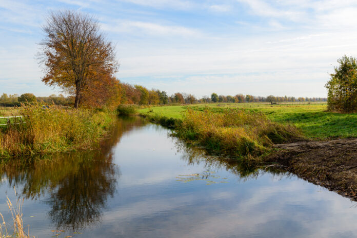 scenic-view-trees-reflected-river-cloudy-sky_v1.jpg